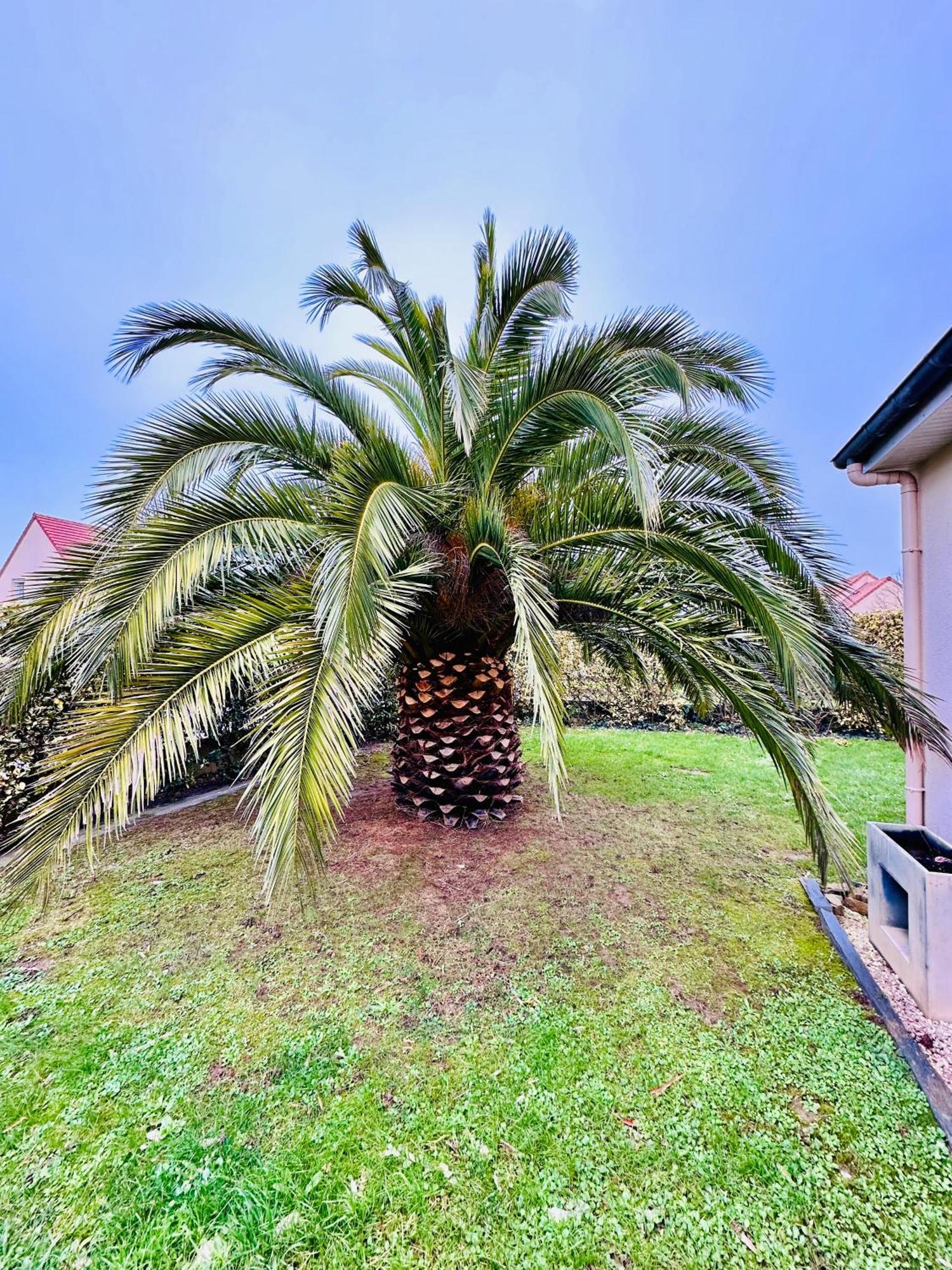 Les Palmiers Gite 7 Personnes Plages Du Debarquement Grandcamp-Maisy Exterior photo